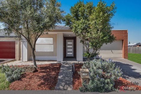 Property photo of 19 Woolybush Drive Tarneit VIC 3029