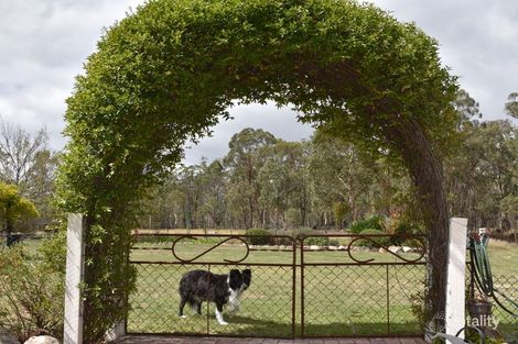 Property photo of 22 Bluff River Road Sandy Flat NSW 2372