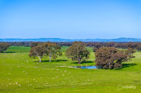 1350 Geodetic Rd, Molka, VIC 3666