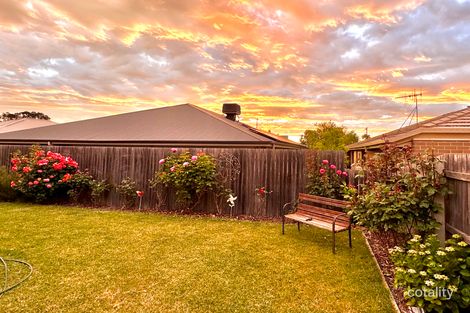 Property photo of 25 Blizzard Circuit Forde ACT 2914