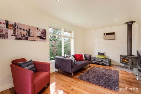 Property photo of 3 Meringer Court Nunawading VIC 3131