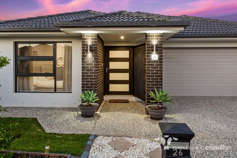 Property photo of 26 Broadaxe Street Spring Mountain QLD 4300