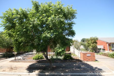 33 Argyle Ave, Marleston, SA 5033