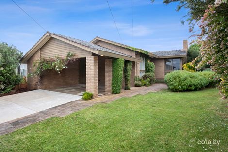 Property photo of 6 Kirriemuir Street Hamlyn Heights VIC 3215