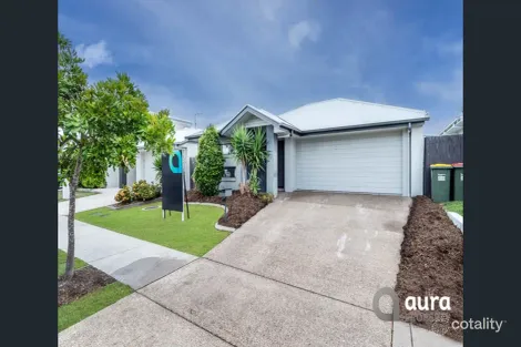 19 Yucca Ct, Mountain Creek, QLD 4557