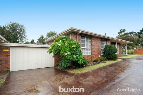 Property photo of 1/127 Park Road Cheltenham VIC 3192