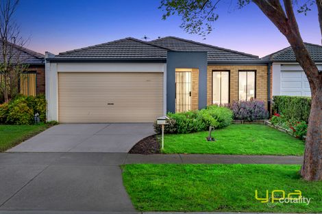 Property photo of 41 Phoenix Avenue Cranbourne VIC 3977