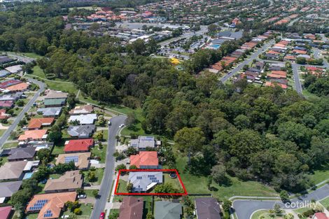 Property photo of 3 Dine Court Upper Coomera QLD 4209
