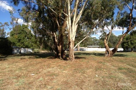 31 Norman St, The Rock, NSW 2655