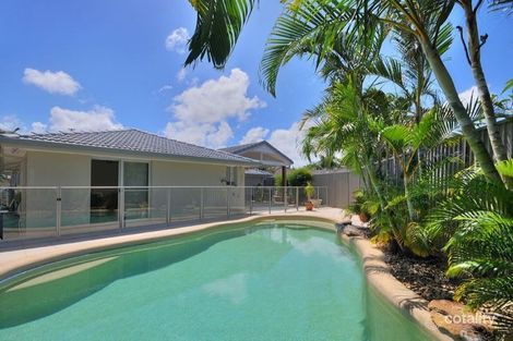 Property photo of 11 Elgin Crescent Bundall QLD 4217