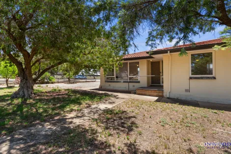 Property photo of 6 Reed Avenue Mannum SA 5238