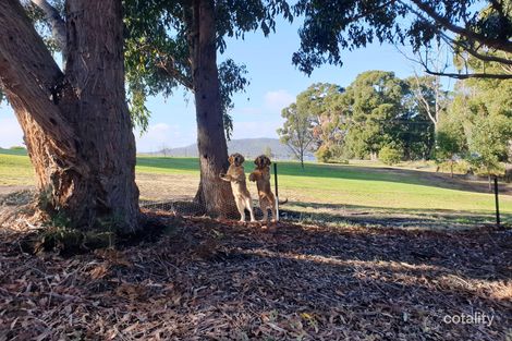 Property photo of 7 Amelia Street Gordon TAS 7150