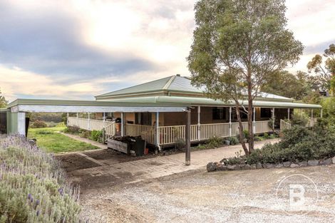 Property photo of 141 Scholes Road Raglan VIC 3373