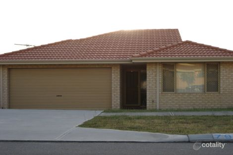 Property photo of 79A Campion Avenue Balcatta WA 6021