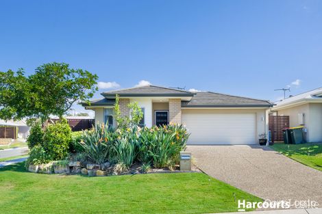 Property photo of 27 Watervale Street Mango Hill QLD 4509