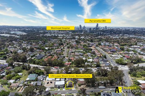 Property photo of 1/53 Lower Mount Street Wentworthville NSW 2145