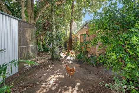 Property photo of 13 Tulip Lane Buderim QLD 4556