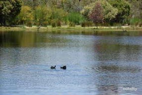 Property photo of 5 Gough Place Booragoon WA 6154