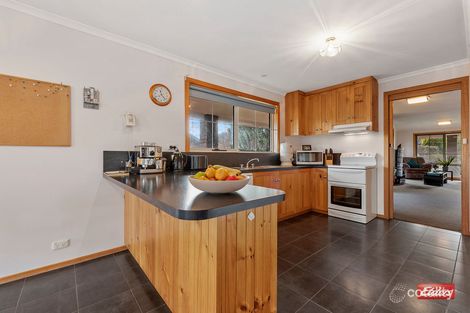 Property photo of 11 Mills Road Park Grove TAS 7320