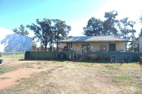 13 Sungift Ave, Narromine, NSW 2821