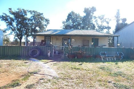 Property photo of 13 Sungift Avenue Narromine NSW 2821