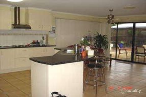 Property photo of 17 Juniper Circuit Stretton QLD 4116