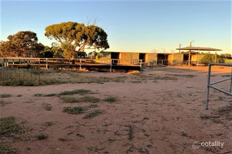 Property photo of 6 Saddleback Road Mullaquana SA 5608
