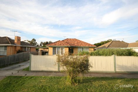 50 Marjorie Ave, Belmont, VIC 3216