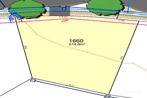 Property photo of 38 Stoneham Circuit Oran Park NSW 2570