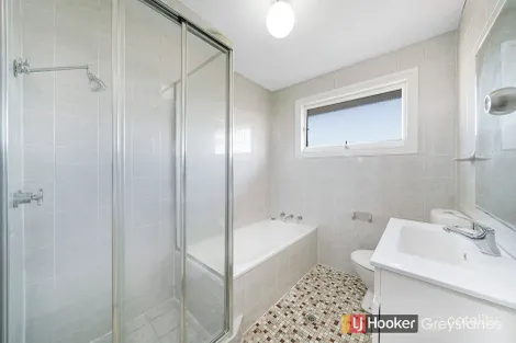 Property photo of 106 Runyon Avenue Greystanes NSW 2145