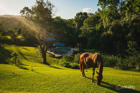 Property photo of 229 Highlands Road Eudlo QLD 4554