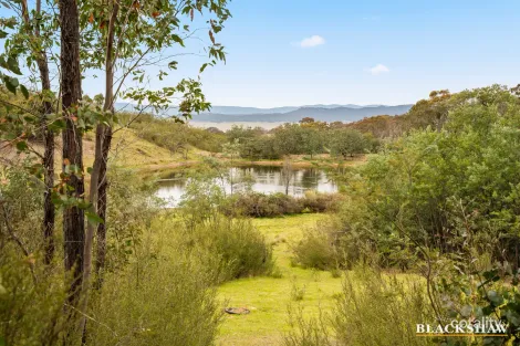 359 Widgiewa Rd, Carwoola, NSW 2620