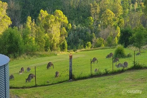 Property photo of 2903 Mount Darragh Road Wyndham NSW 2550