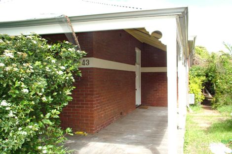43 Alma Rd, Mount Lawley, WA 6050