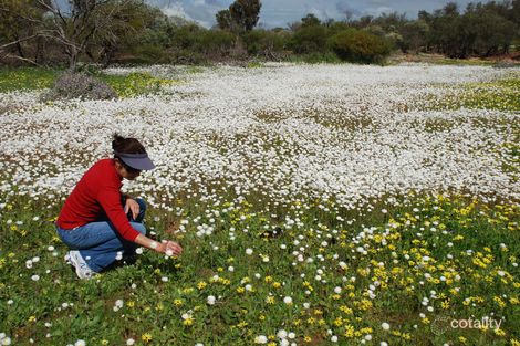 Property photo of 7 Cassia Close Kalbarri WA 6536