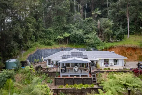 Property photo of 263D Shephards Lane Coffs Harbour NSW 2450