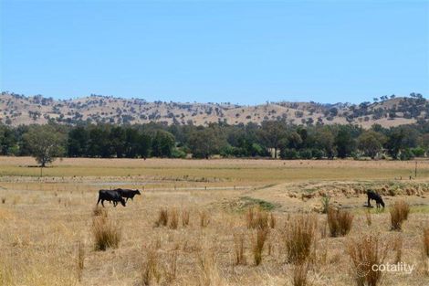 Property photo of 233 Nimbo Road Brungle NSW 2722
