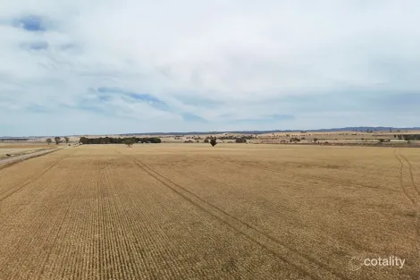 1005 Appila-Laura Rd, Appila, SA 5480