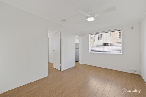 3/41 Gottenham St, Glebe, NSW 2037