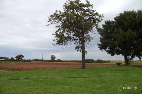 Property photo of 400 Wilga Road Red Cliffs VIC 3496