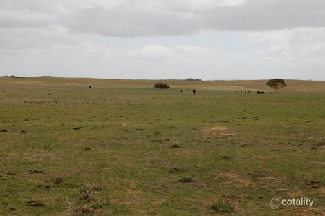 603 Day Rd, Lameroo, SA 5302