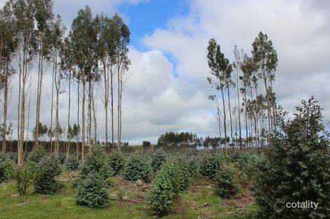 44 Gray St, Hamilton, VIC 3300