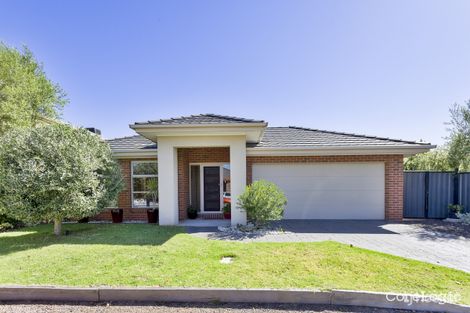 Property photo of 4 Citronella Circuit Point Cook VIC 3030