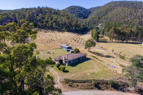 Property photo of 701 Tyne Road Mathinna TAS 7214