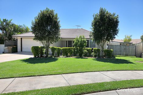 Property photo of 6 Karen Court Raceview QLD 4305