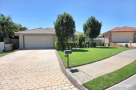 Property photo of 6 Karen Court Raceview QLD 4305