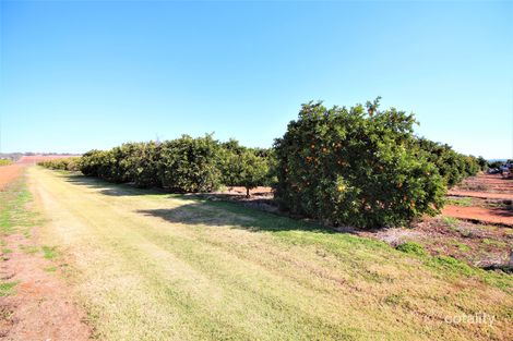 Property photo of 1823 Druitt Road Lake Wyangan NSW 2680