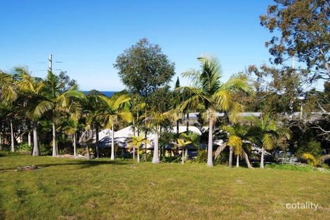Property photo of 383 Old Coast Road Dorrigo NSW 2453