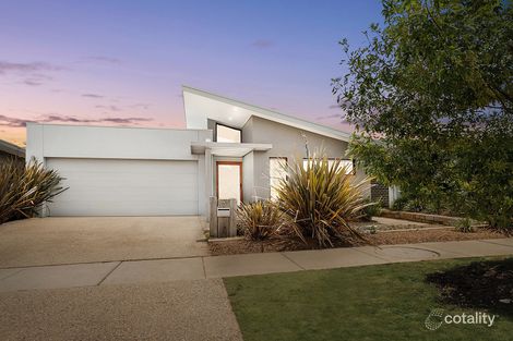 Property photo of 3 Buchan Crescent Forde ACT 2914