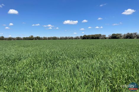 310 Delaney Rd, Invergordon, VIC 3636